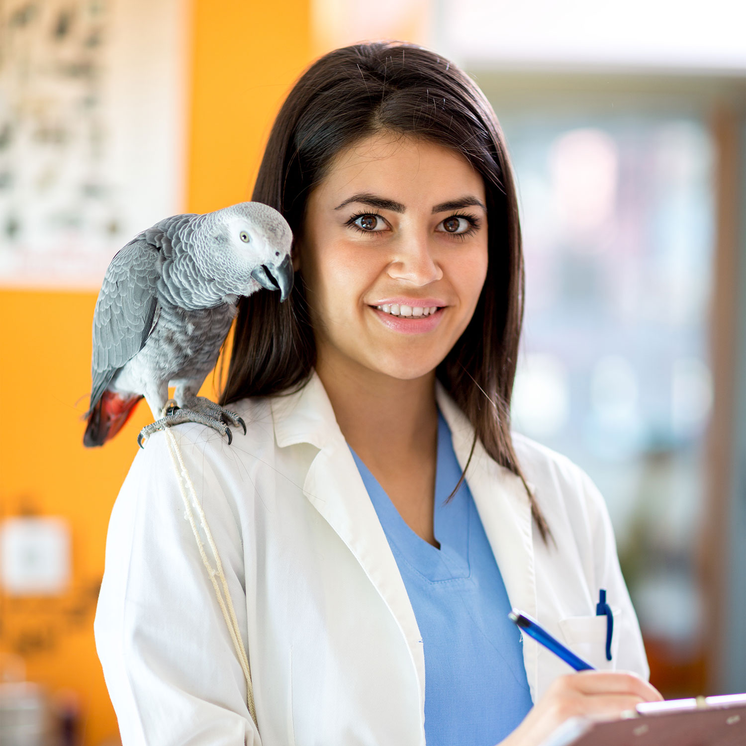 Doctor Ruiz Photo